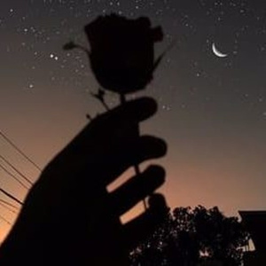 日本大黄大片APP下载
