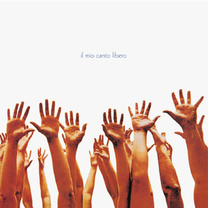 AV➕无码➕白丝➕高潮
